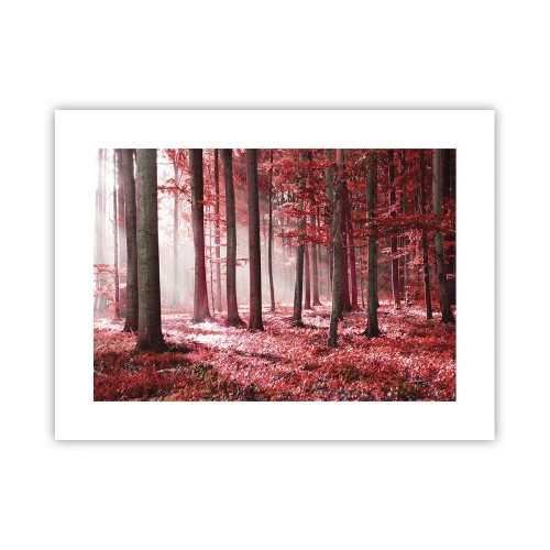 Poster - Rot ist genauso schön - 40x30 cm