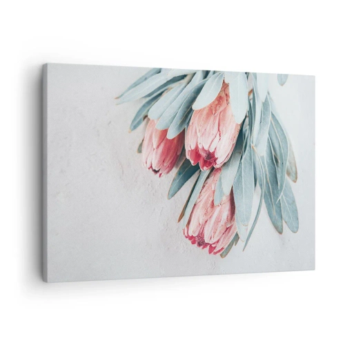 Bild auf Leinwand - Leinwandbild - Dezente rosa Protea-Blüten auf hellem Hintergrund - 70x50cm - Schämen sich für ihre eigene Schönheit - Moderne Wanddekoration für Wohnzimmer und Schlafzimmer ARTTOR