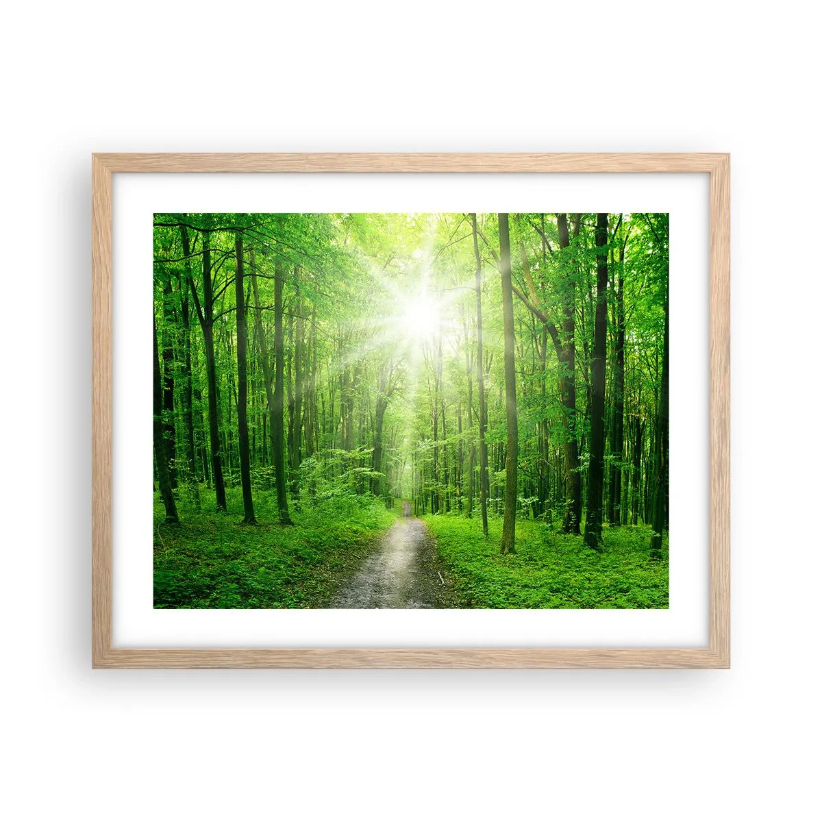 Poster in einem Rahmen aus heller Eiche - Die grüne Kathedrale - 50x40 cm