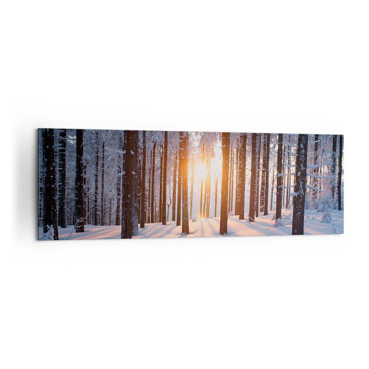 Bild auf Leinwand - Leinwandbild - Winterwald, beleuchtet von den Sonnenstrahlen - 160x50cm - Ganz klar schwarz auf weiß - Moderne Wanddekoration für Wohnzimmer und Schlafzimmer ARTTOR
