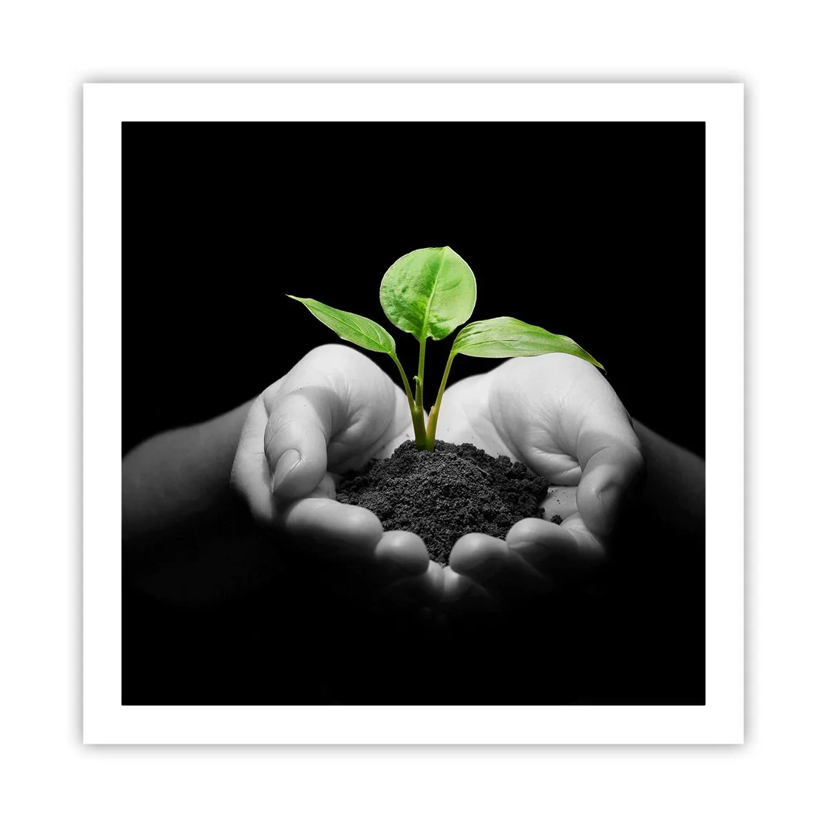 Poster - Ich liebe die Natur, ich beschütze sie - 60x60 cm