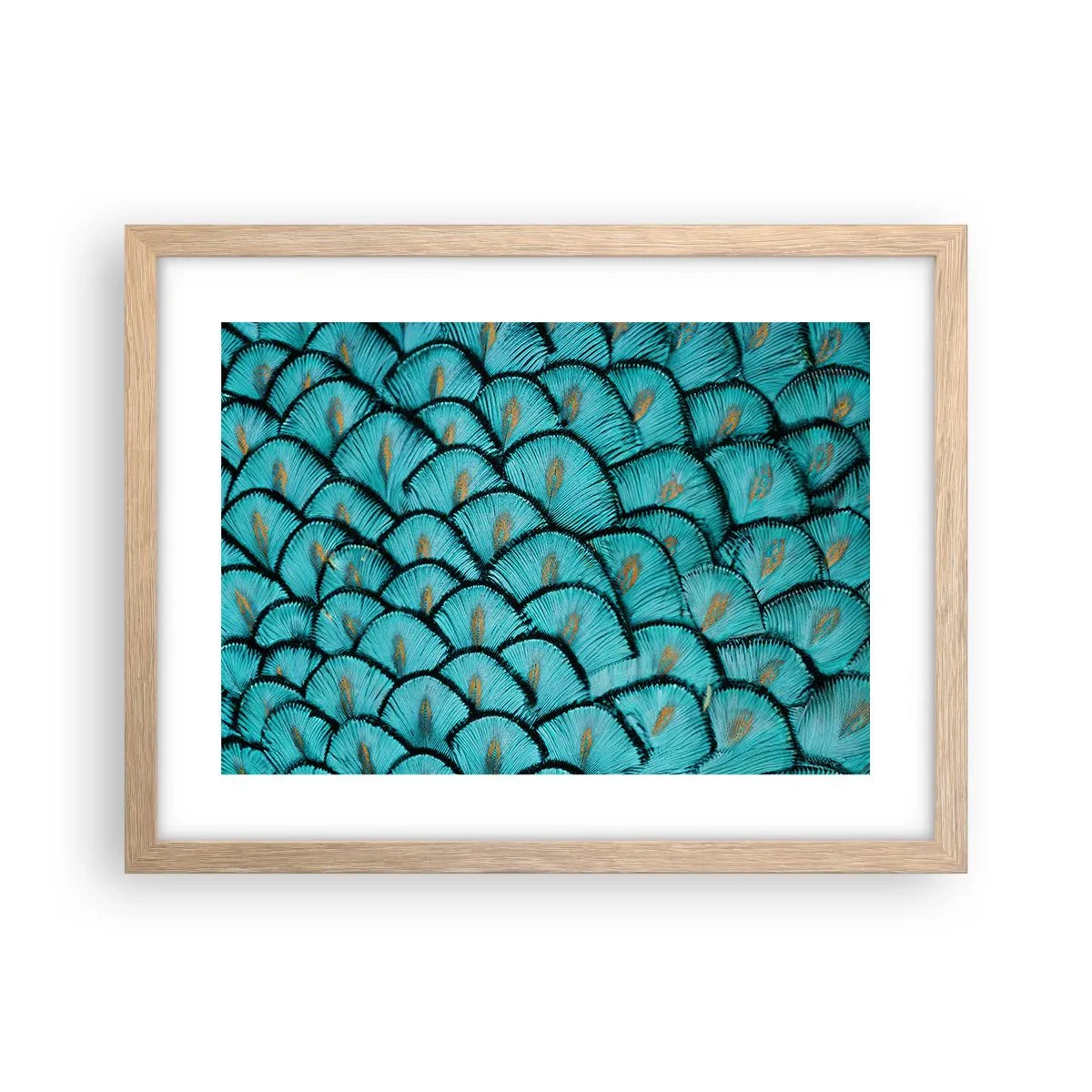 Poster in einem Rahmen aus heller Eiche - Große Federgala - 40x30 cm
