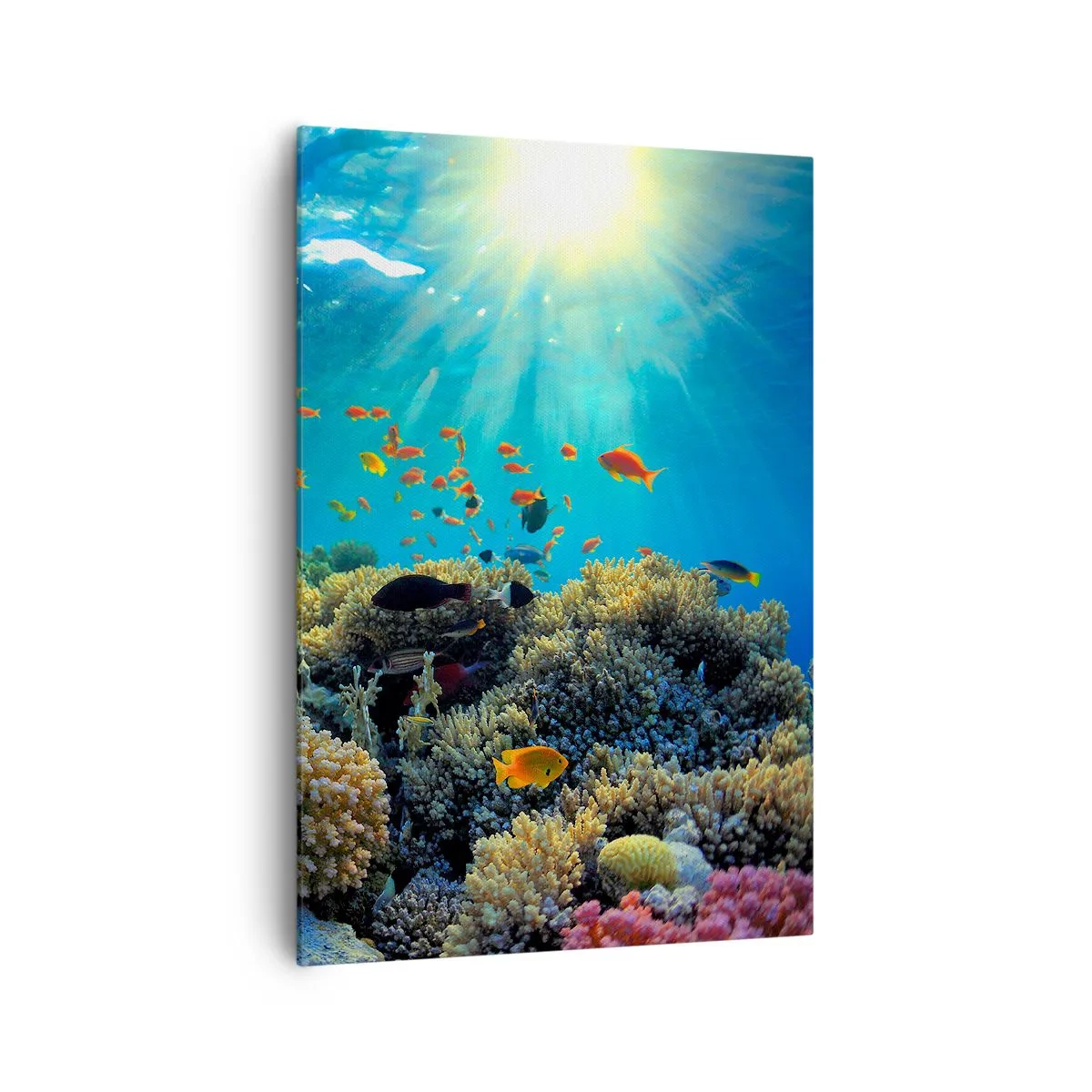 Bild auf Leinwand - Leinwandbild - Korallenriff mit Fischen in den Sonnenstrahlen unter Wasser - 70x100cm - Unterwasserschätze - Moderne Wanddekoration für Wohnzimmer und Schlafzimmer ARTTOR