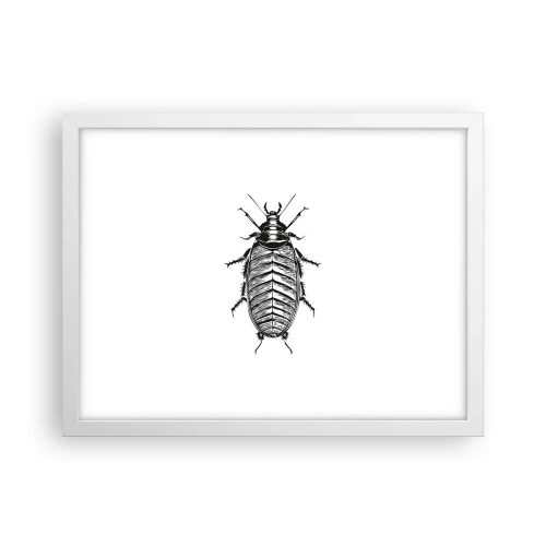 Poster in einem weißen Rahmen - Was für ein Exemplar! - 40x30 cm