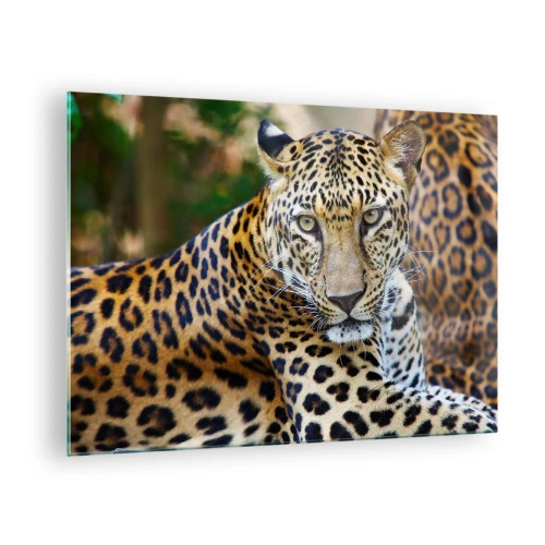 Glasbild - Bild auf glas - Ein wilder Leopard ruht im Grünen - 70x50cm - Wild und ruhig - Moderne Wanddekoration für Wohnzimmer und Schlafzimmer ARTTOR