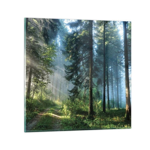 Glasbild - Bild auf glas - Strahlend am Morgen - 30x30 cm