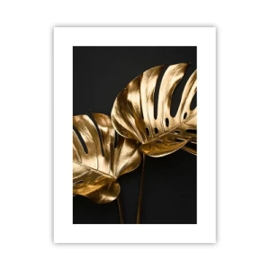 Poster - Die Schätze der Natur - 30x40 cm