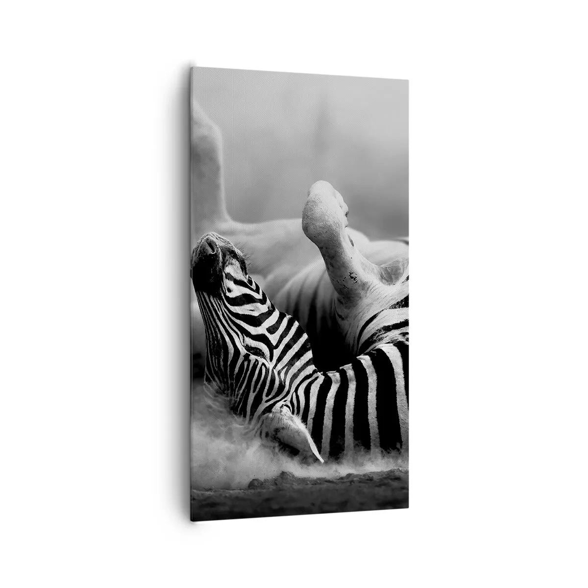 Bild auf Leinwand - Leinwandbild - Nicht nur das Pferd würde lachen - 65x120 cm