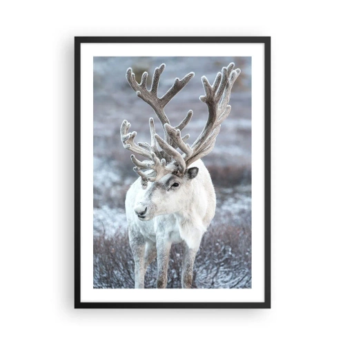 Poster in einem schwarzem Rahmen - Weiße Rentiere in einer Winterlandschaft - 50x70cm - Porträt in der Sonne - Moderne Wanddekoration für Wohnzimmer und Schlafzimmer ARTTOR