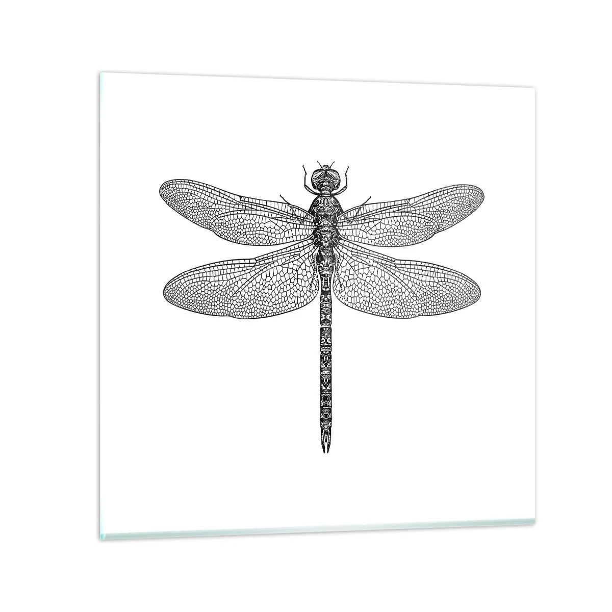 Glasbild - Bild auf glas - Präzision der Natur - 30x30 cm