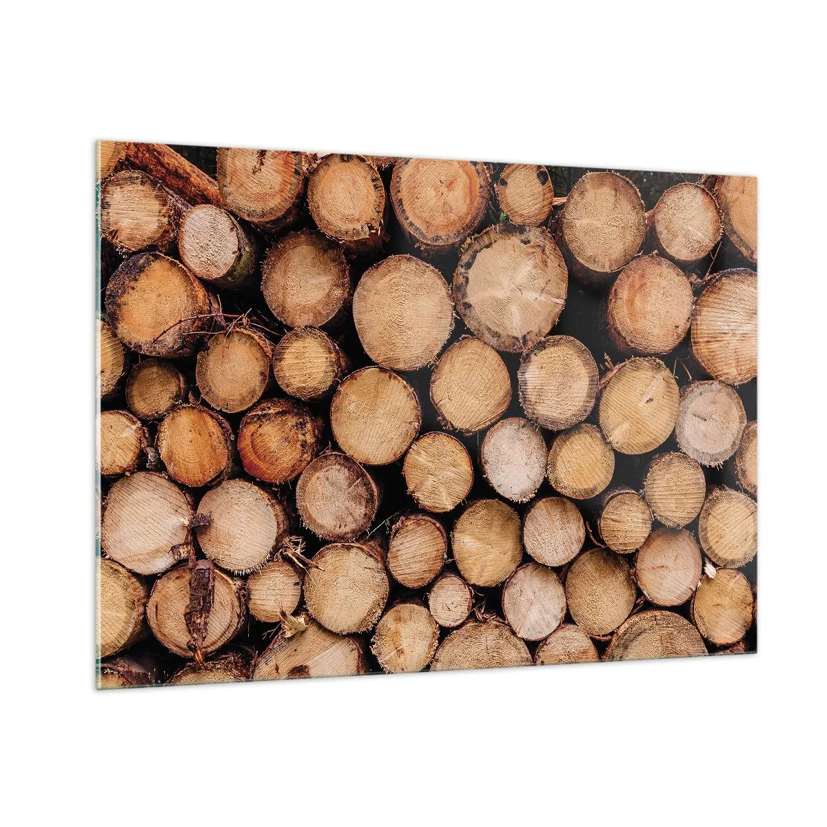 Glasbild - Bild auf glas - Vertikal angeordnete Baumstämme mit sichtbaren Jahresringen - 100x70cm - Ein neuer Anfang - Moderne Wanddekoration für Wohnzimmer und Schlafzimmer ARTTOR