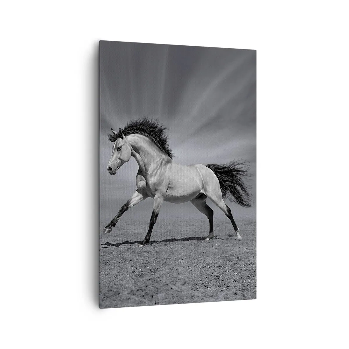 Bild auf Leinwand - Leinwandbild - Ein schwarz-weißes Pferd in einer dynamischen Pose in der Wüste. - 80x120cm - Geboren um Freude zu bereiten - Moderne Wanddekoration für Wohnzimmer und Schlafzimmer ARTTOR