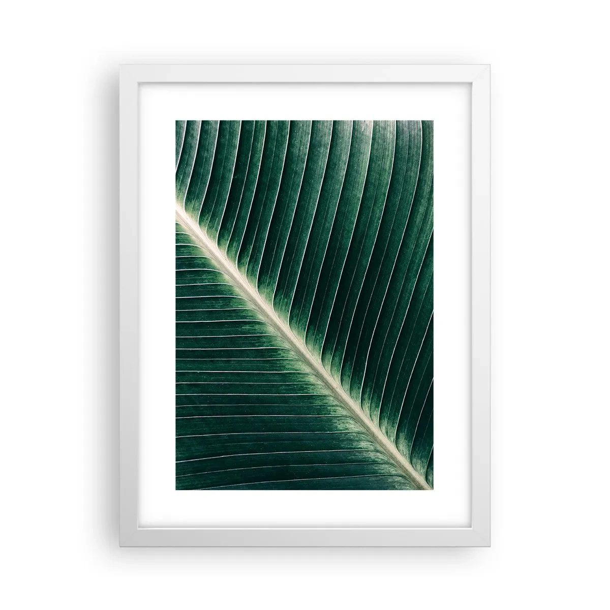 Poster in einem weißen Rahmen - Rhythmus der Natur - 30x40 cm