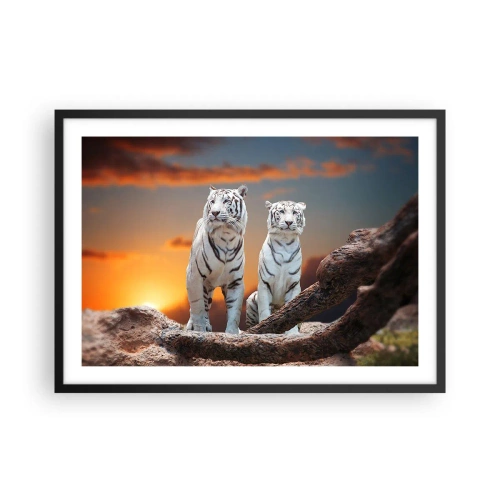 Poster in einem schwarzem Rahmen - Weiße Tiger in der untergehenden Sonne vor der Kulisse der Natur - 70x50cm - Genau wie Narnia - Moderne Wanddekoration für Wohnzimmer und Schlafzimmer ARTTOR