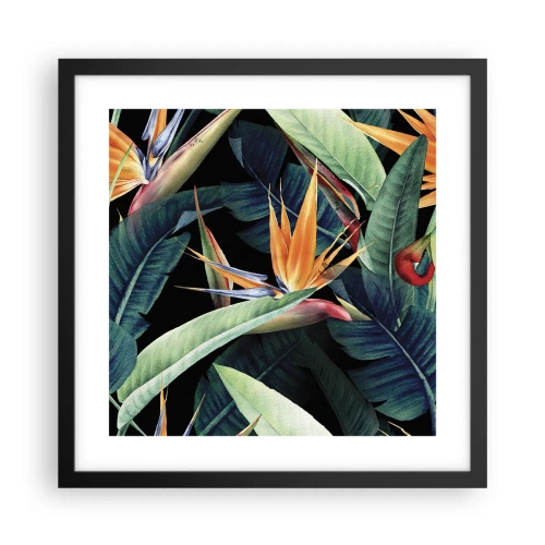 Poster in einem schwarzem Rahmen - Flammende Blumen der Tropen - 40x40 cm