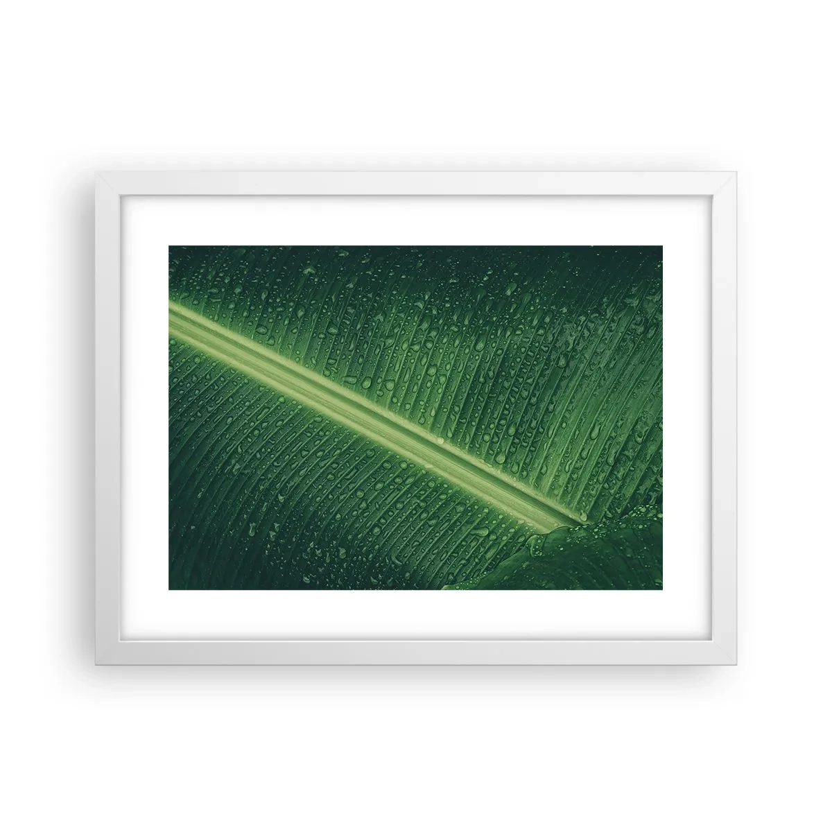 Poster in einem weißen Rahmen - Die Struktur des Grüns - 40x30 cm