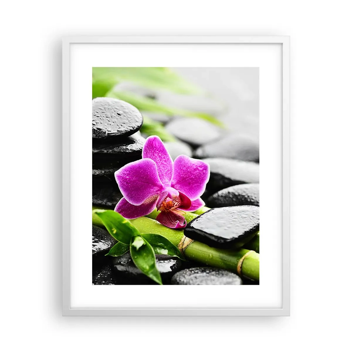 Poster in einem weißen Rahmen - In ruhiger Balance - 40x50 cm