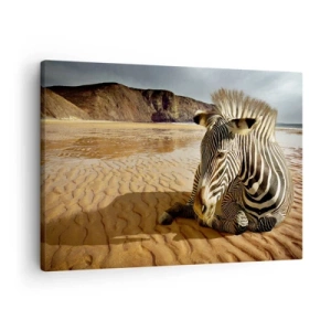 Bild auf Leinwand - Leinwandbild - Ein Zebra ruht sich an einem Sandstrand mit Klippen im Hintergrund aus. - 70x50cm - Wir passen zusammen - Moderne Wanddekoration für Wohnzimmer und Schlafzimmer ARTTOR