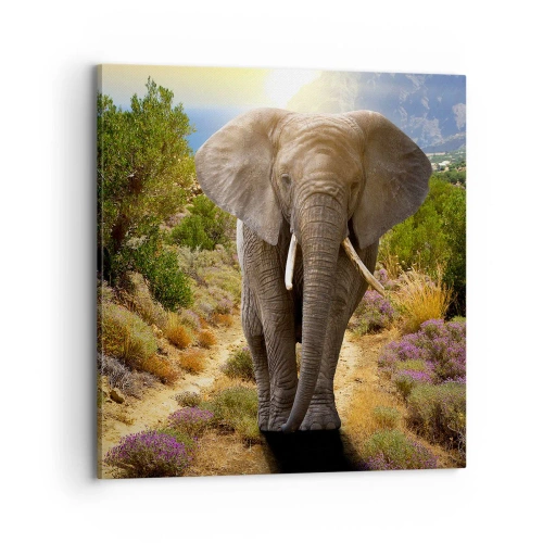 Bild auf Leinwand - Leinwandbild - So sah Eden aus - 70x70 cm