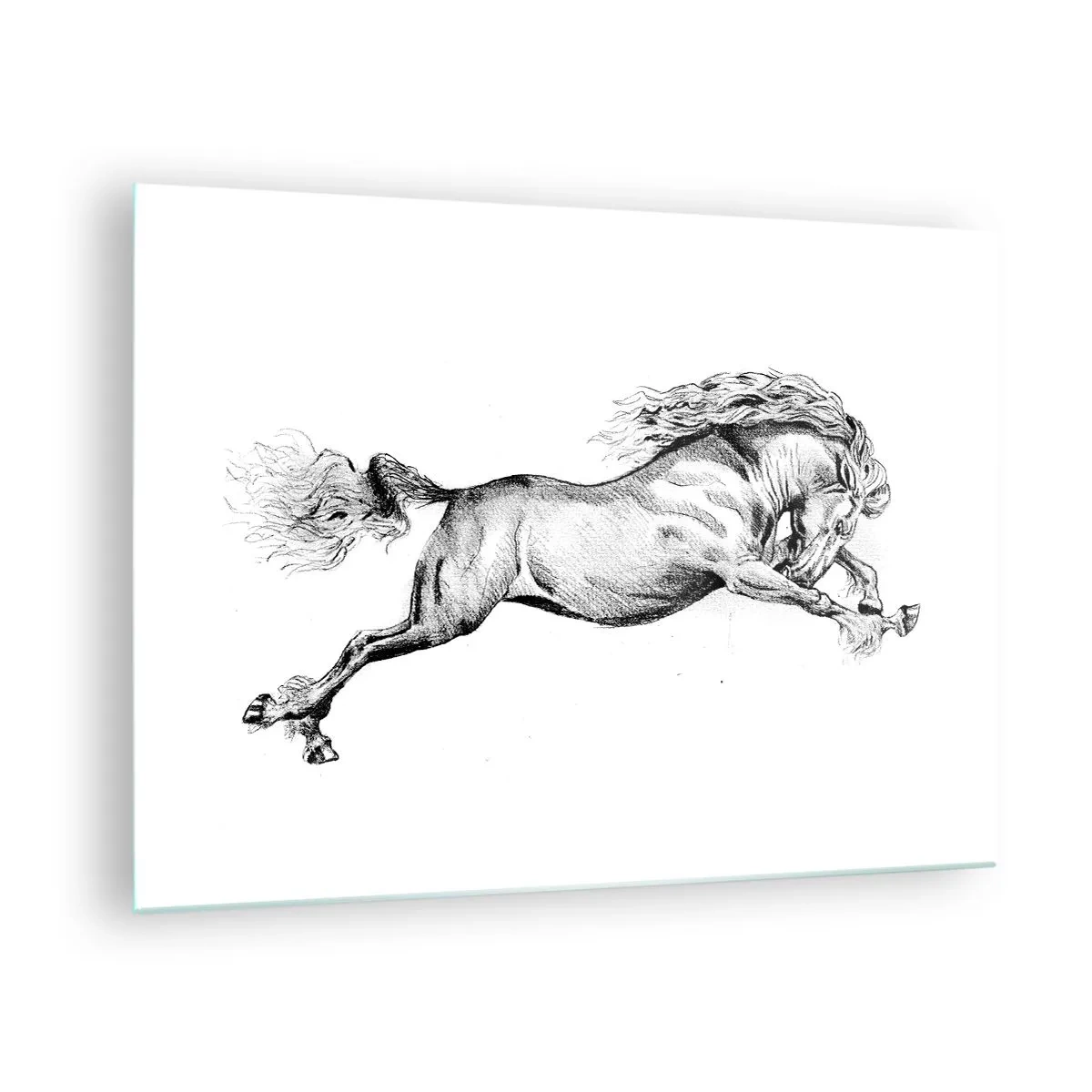 Glasbild - Bild auf glas - Schwarz-Weiß-Zeichnung eines galoppierenden Pferdes - 70x50cm - Im Galopp festgehalten - Moderne Wanddekoration für Wohnzimmer und Schlafzimmer ARTTOR
