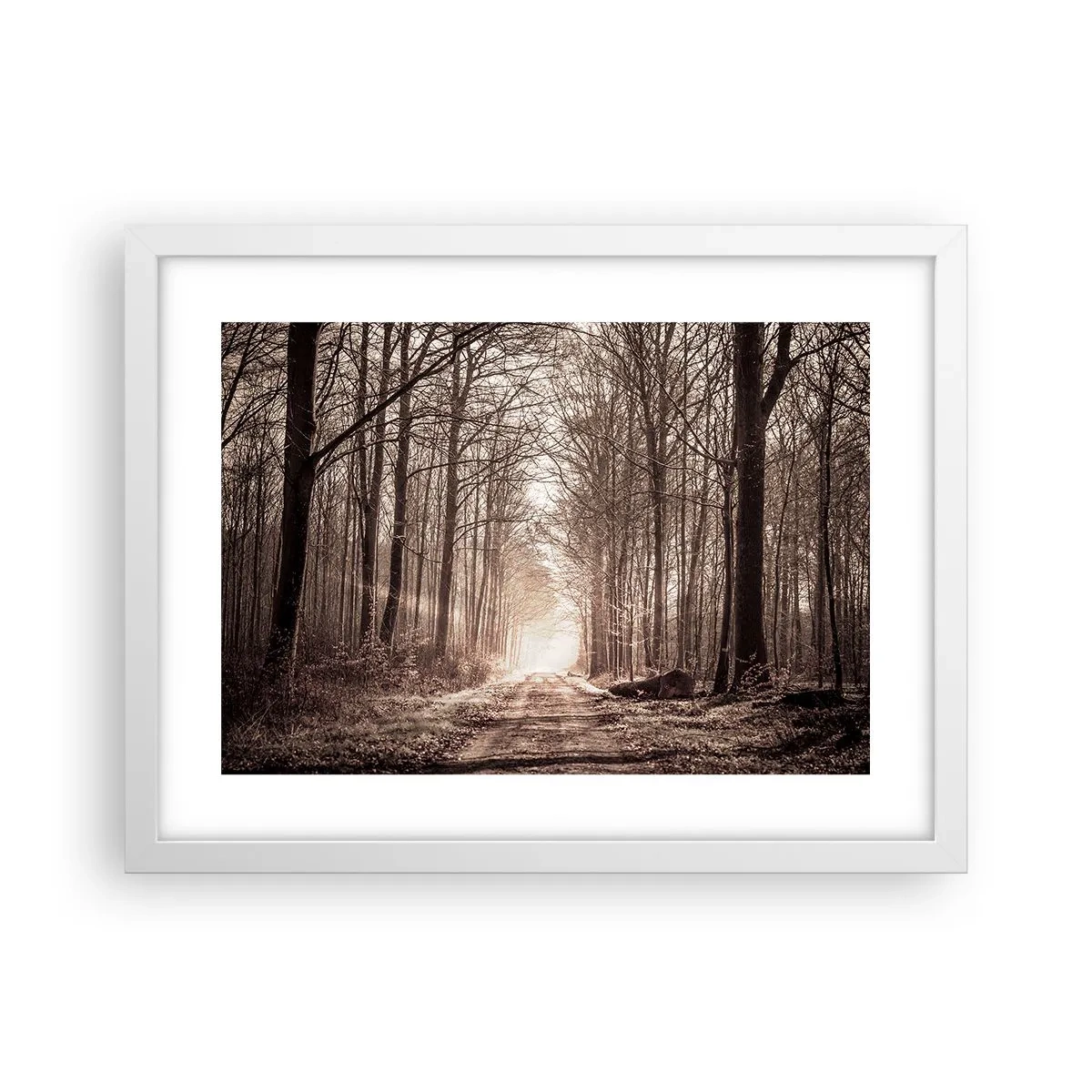 Poster in einem weißen Rahmen - Waldkathedrale - 40x30 cm