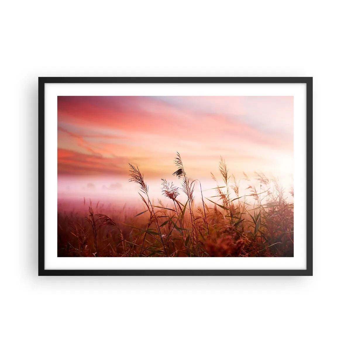 Poster in einem schwarzem Rahmen - Ein Grasfeld vor der Kulisse eines malerischen Sonnenuntergangs - 70x50cm - Drachen, Löwenzahn, Wind - Moderne Wanddekoration für Wohnzimmer und Schlafzimmer ARTTOR