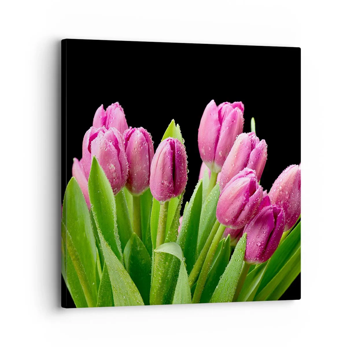 Bild auf Leinwand - Leinwandbild - Lila Frühlingsfreude - 30x30 cm