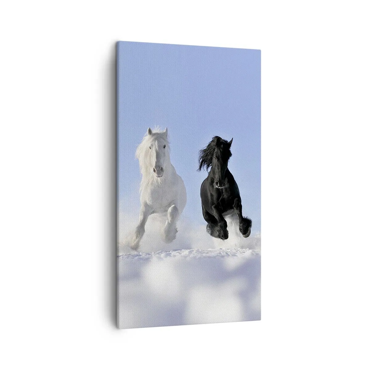 Bild auf Leinwand - Leinwandbild - Schwarz-Weiß-Galopp - 45x80 cm