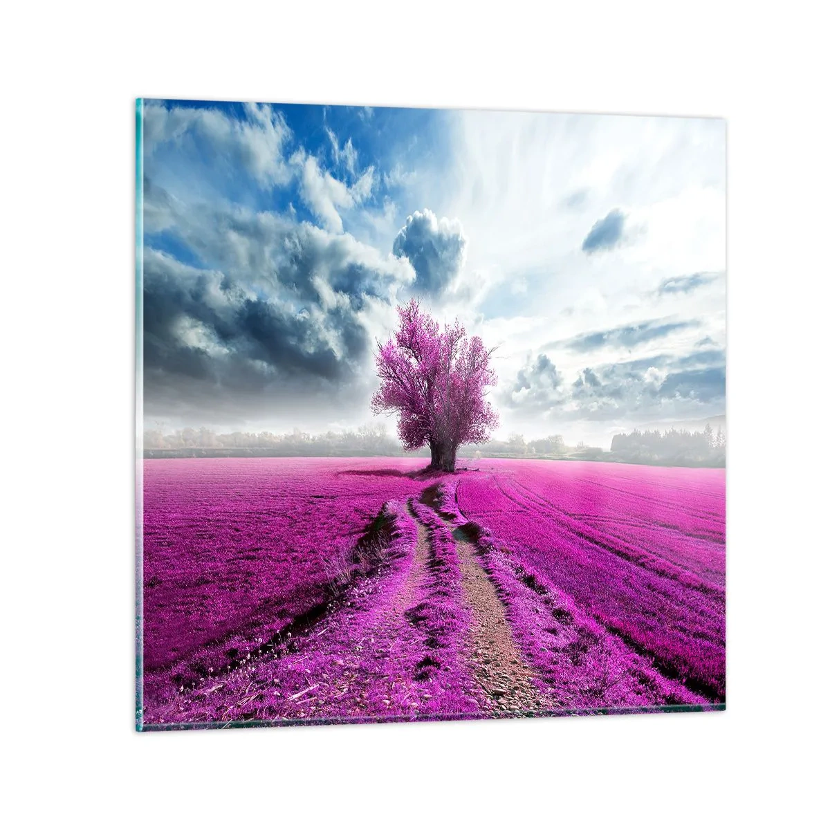 Glasbild - Bild auf glas - Heide - Wildnis - 30x30 cm