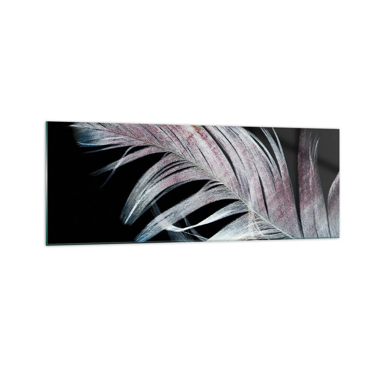 Glasbild - Bild auf glas - Eine zarte Feder auf schwarzem Hintergrund in einem künstlerischen Ansatz - 140x50cm - Denke an Berührung - Moderne Wanddekoration für Wohnzimmer und Schlafzimmer ARTTOR