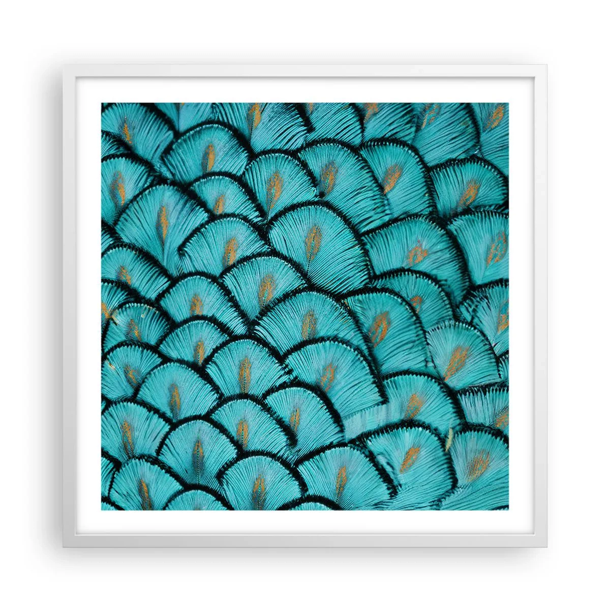 Poster in einem weißen Rahmen - Große Federgala - 60x60 cm