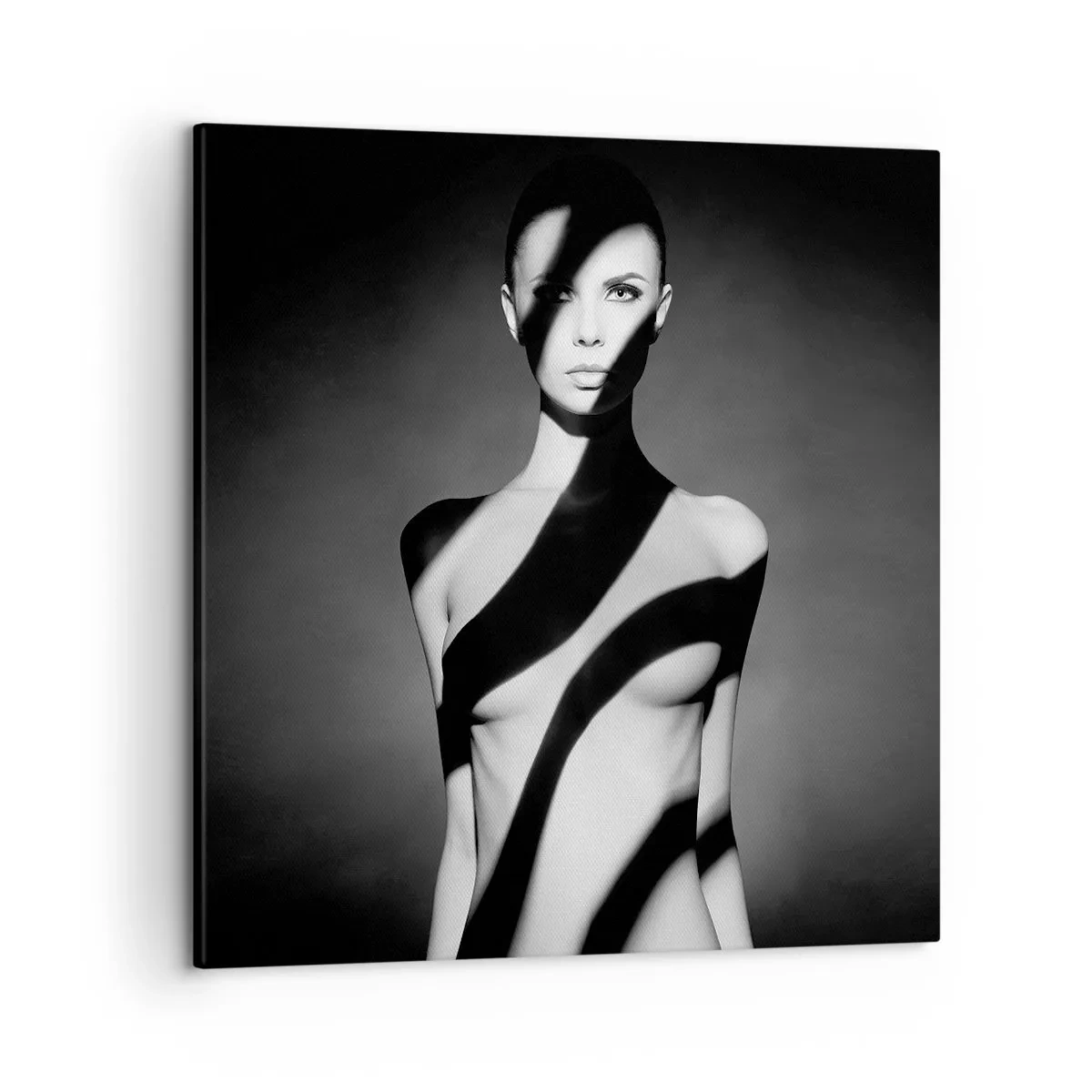 Bild auf Leinwand - Leinwandbild - In Glanz und Schatten - 50x50 cm