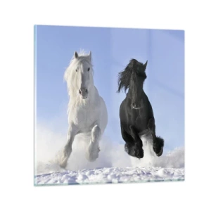 Glasbild - Bild auf glas - Schwarz-Weiß-Galopp - 30x30 cm