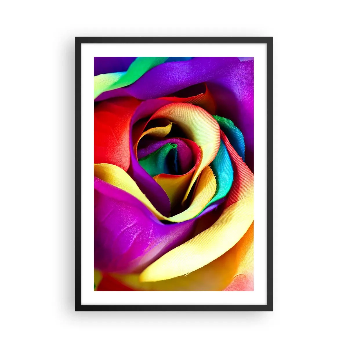 Poster in einem schwarzem Rahmen - Eine Nahaufnahme einer bunten Rose mit Regenbogenblütenblättern - 50x70cm - Es ist unmöglich - Moderne Wanddekoration für Wohnzimmer und Schlafzimmer ARTTOR