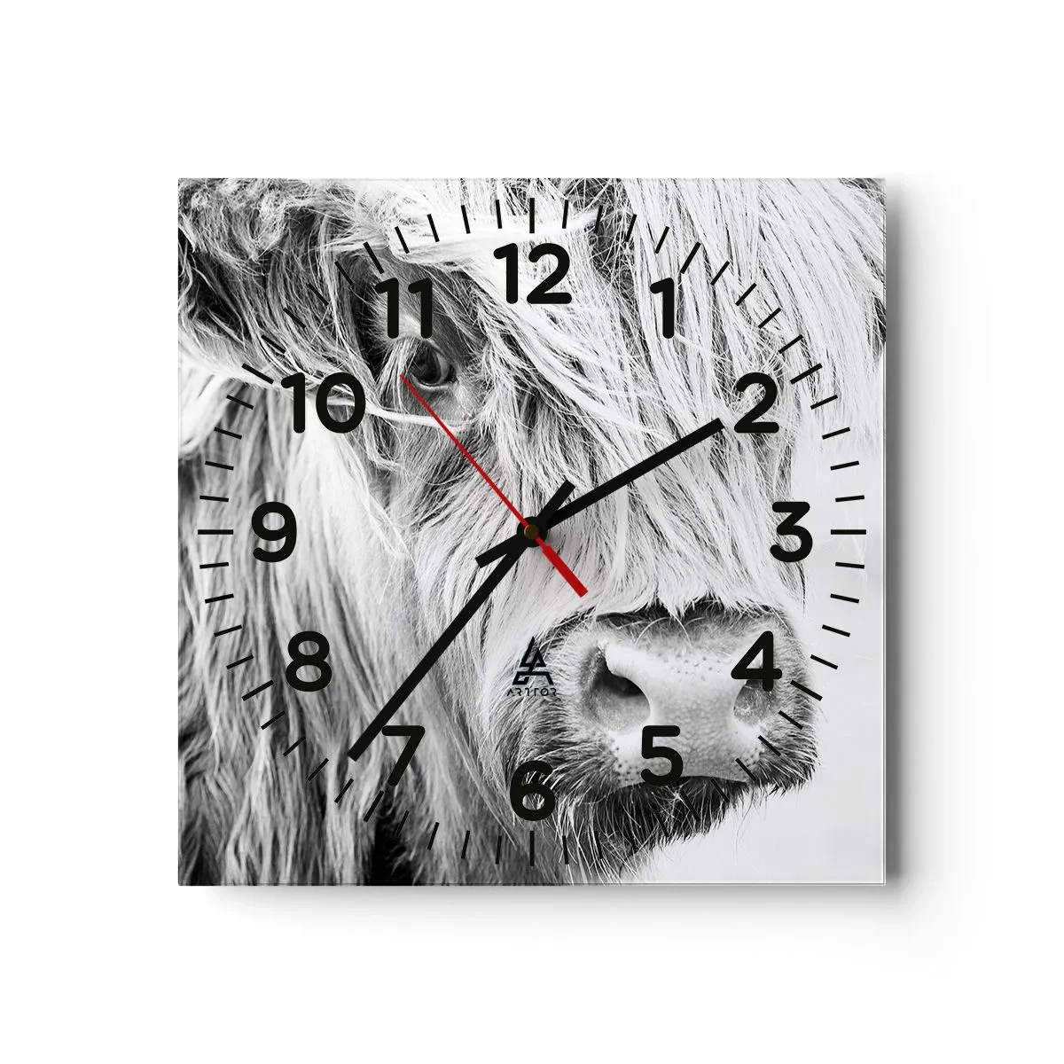 Wanduhr - Glasuhr - Schottische Wildheit - 30x30 cm