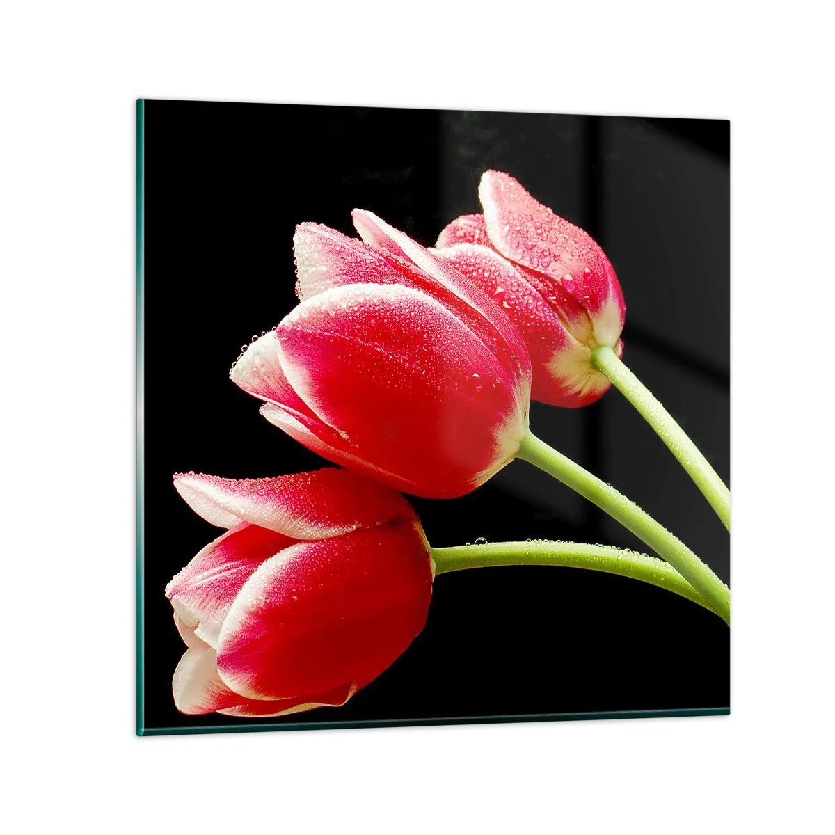 Glasbild - Bild auf glas - Ein Versprechen der reinen Liebe - 30x30 cm