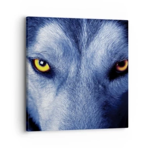 Bild auf Leinwand - Leinwandbild - Faszinierender Blick - 30x30 cm