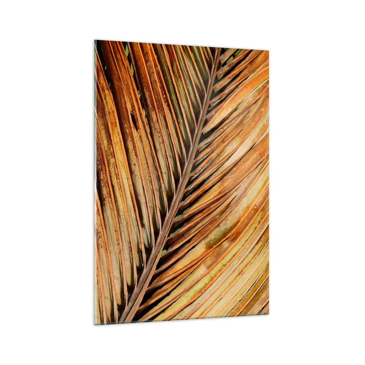 Glasbild - Bild auf glas - Nahaufnahme eines trockenen Palmblattes in warmen Tönen - 70x100cm - Kokosnuss-Gold - Moderne Wanddekoration für Wohnzimmer und Schlafzimmer ARTTOR