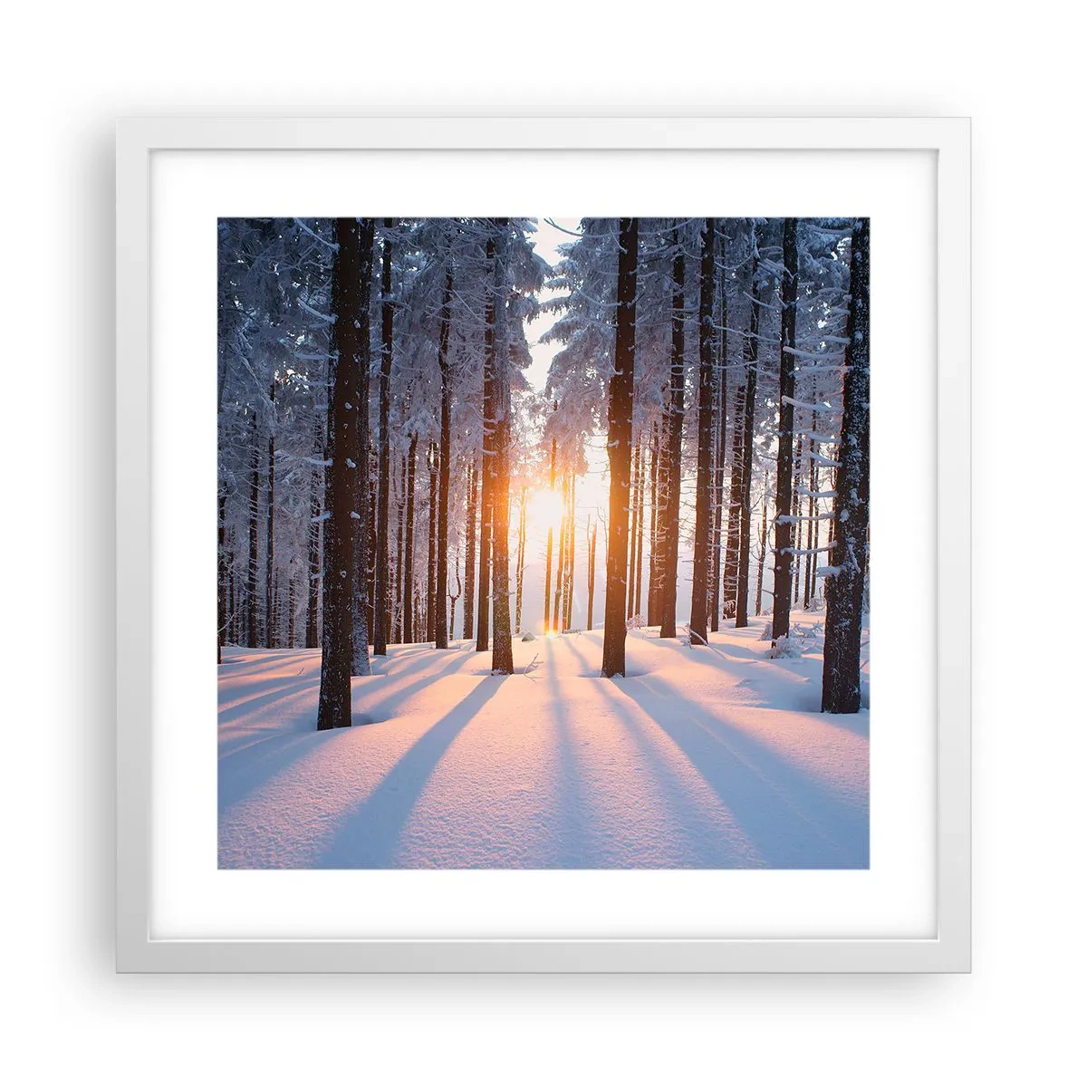 Poster in einem weißen Rahmen - Ganz klar schwarz auf weiß - 40x40 cm
