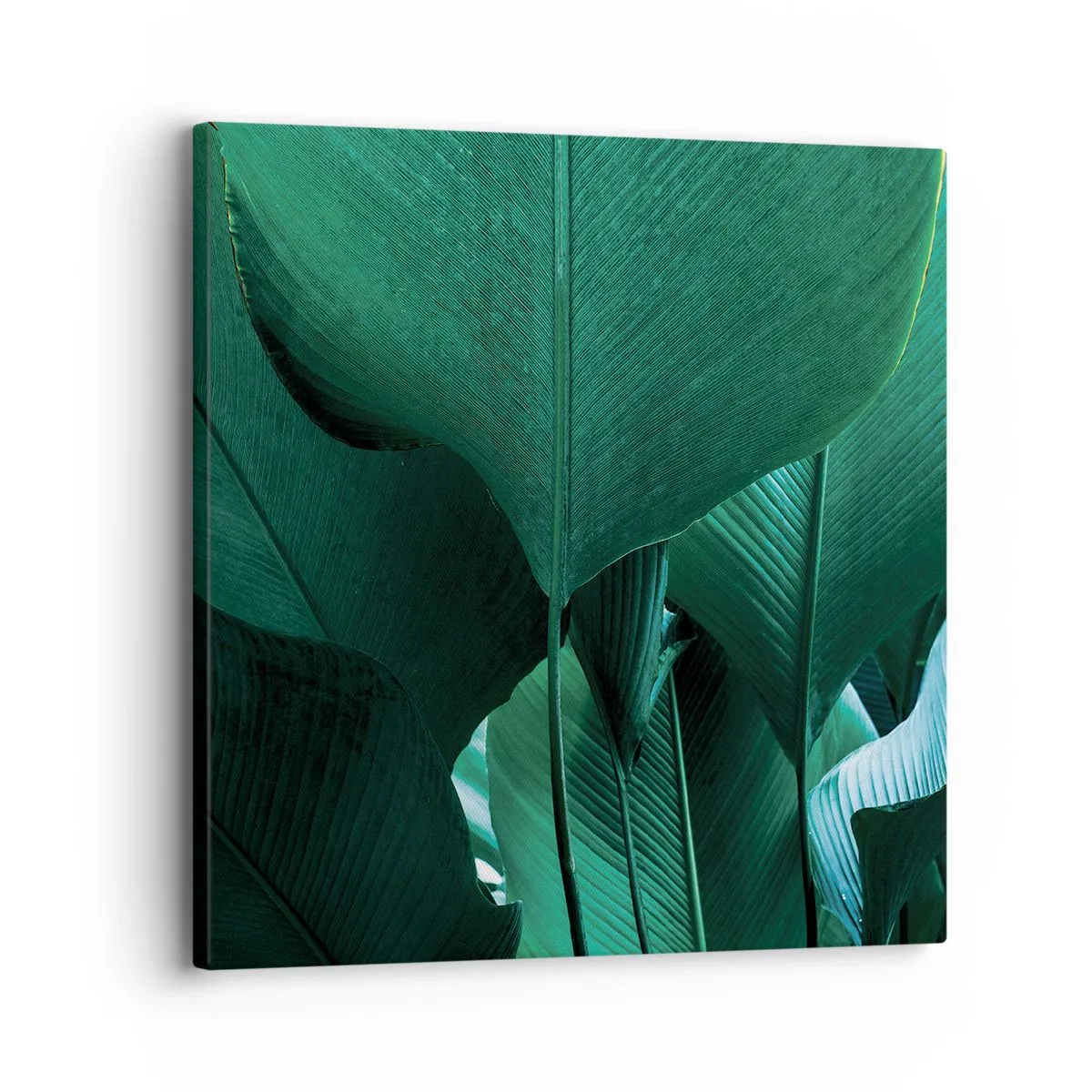 Bild auf Leinwand - Leinwandbild - Dem Licht zugewandt - 30x30 cm