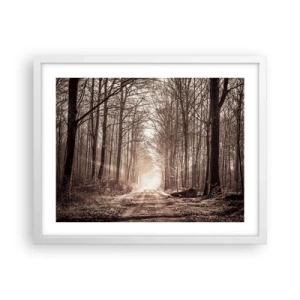 Poster in einem weißen Rahmen - Waldkathedrale - 50x40 cm