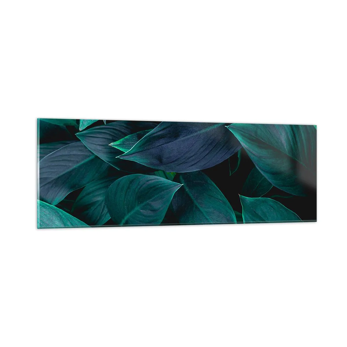 Glasbild - Bild auf glas - Grün in sich selbst - 90x30 cm