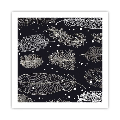 Poster - Gefiederte Spitze - 60x60 cm