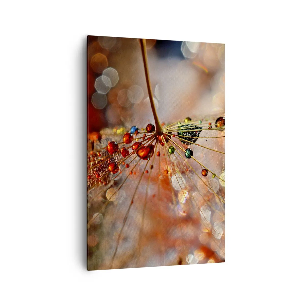 Bild auf Leinwand - Leinwandbild - Makrofotografie eines Wassertropfens auf einer zarten Pflanze - 80x120cm - Auf einem Spinnenfaden aufgefädelt - Moderne Wanddekoration für Wohnzimmer und Schlafzimmer ARTTOR