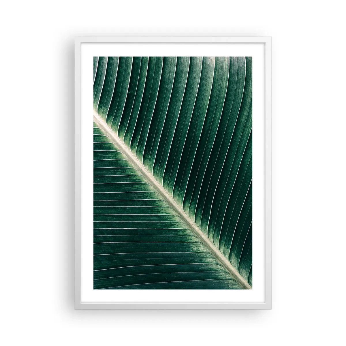 Poster in einem weißen Rahmen - Rhythmus der Natur - 50x70 cm