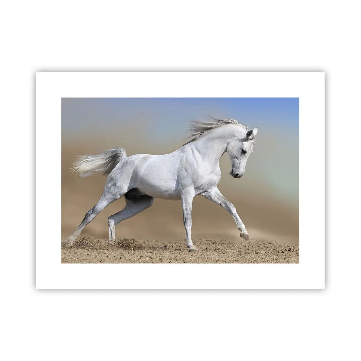 Poster - Die schönste arabische Sage - 40x30 cm