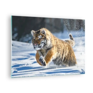 Glasbild - Bild auf glas - Ein sibirischer Tiger läuft durch den Schnee in einer Winterlandschaft. - 70x50cm - Gott der sibirischen Taiga - Moderne Wanddekoration für Wohnzimmer und Schlafzimmer ARTTOR