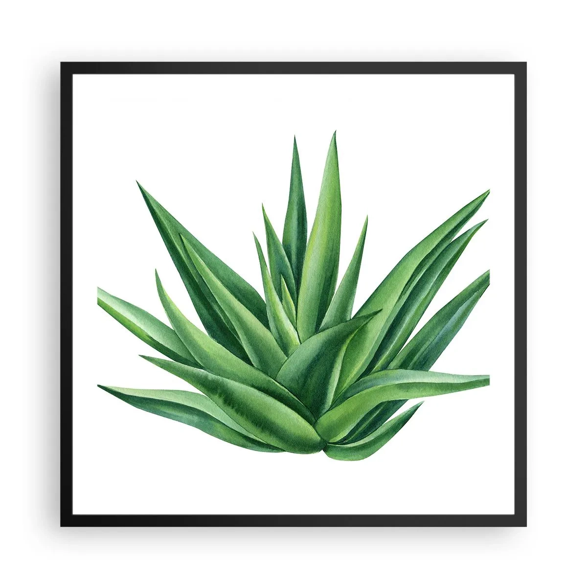 Poster in einem schwarzem Rahmen - Grün – Kraft – Leben - 60x60 cm