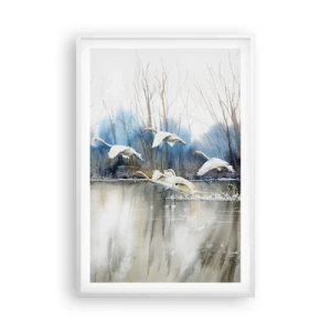 Poster in einem weißen Rahmen - Wie im Märchen von den wilden Schwänen - 61x91 cm