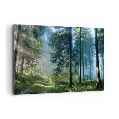 Bild auf Leinwand - Leinwandbild - Ein Waldweg, beleuchtet von den Strahlen der Morgensonne - 100x70cm - Strahlend am Morgen - Moderne Wanddekoration für Wohnzimmer und Schlafzimmer ARTTOR